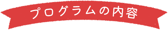 プログラムの内容